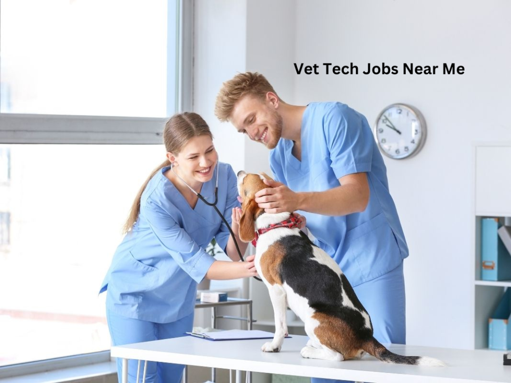 Vet Tech Jobs Near Me